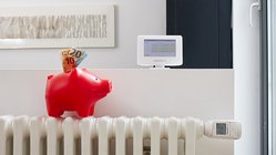 Ein Sparschwein das auf einem Heizkoerper steht