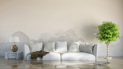 Ein weißes Sofa mit Kissen steht in einem Raum, dessen Boden überflutet ist, während eine Pflanze daneben steht.